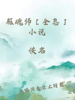 驱魂师［全息］小说