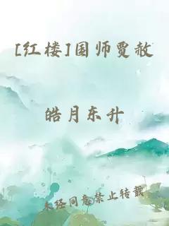 [红楼]国师贾赦