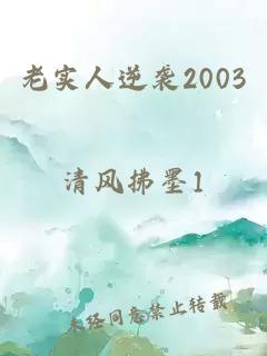 老实人逆袭2003