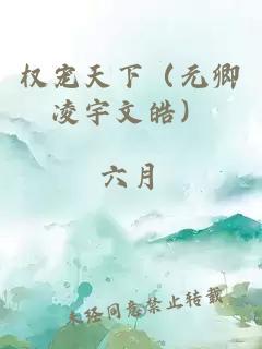 权宠天下（元卿凌宇文皓）