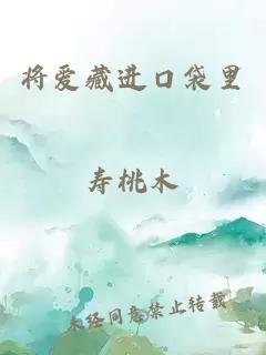 将爱藏进口袋里