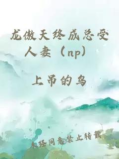 龙傲天终成总受人妻（np）